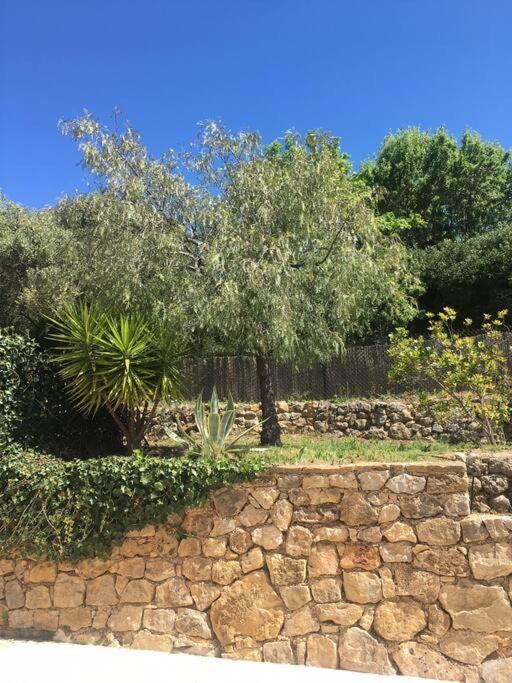 Villa Sur Les Hauteurs De Bandol Sanary-Sur-Mer Extérieur photo